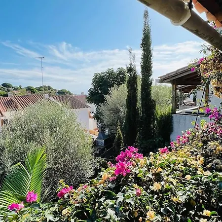 Mediterranean House, And Charm Garden
